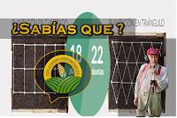  Siembra en tresbolillo