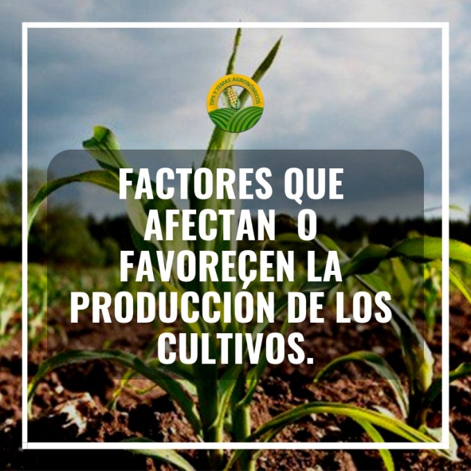 Factores que afectanla produccion de los cultivos 